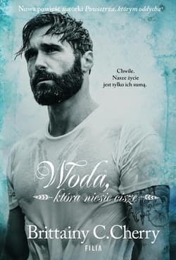 Żywioły Tom 3 Woda, która niesie ciszę - Brittainy C. Cherry