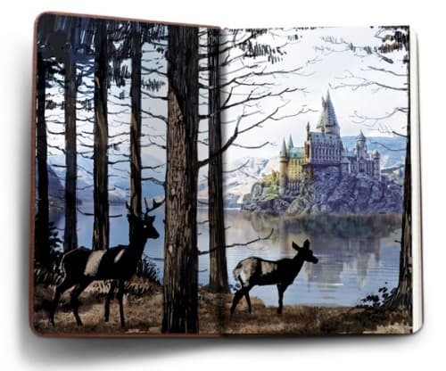 Galeria - zdjęcie nr. 1 - Harry Potter. Hogwart