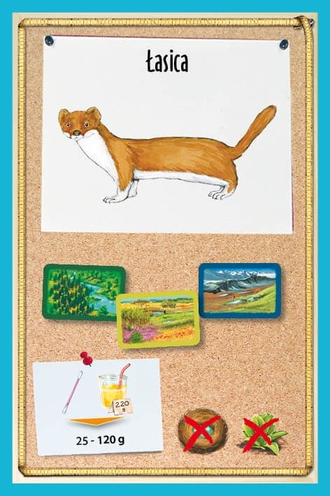 Galeria - zdjęcie nr. 4 - Fauna JUNIOR - gra planszowa