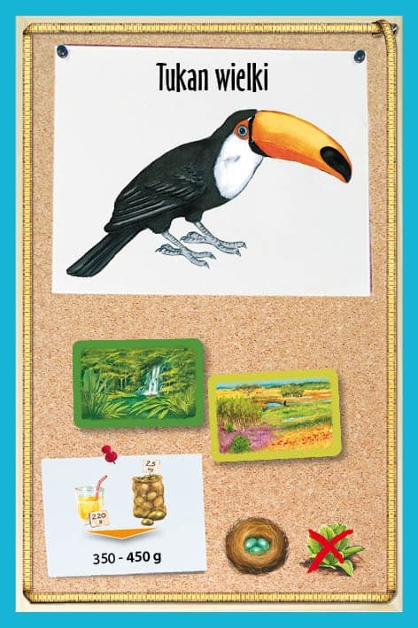 Galeria - zdjęcie nr. 5 - Fauna JUNIOR - gra planszowa