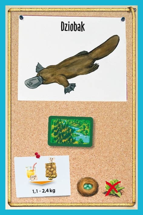 Galeria - zdjęcie nr. 6 - Fauna JUNIOR - gra planszowa