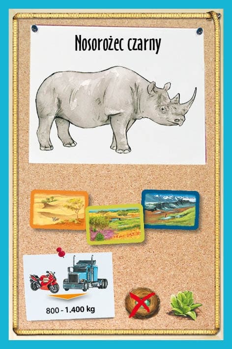 Galeria - zdjęcie nr. 7 - Fauna JUNIOR - gra planszowa