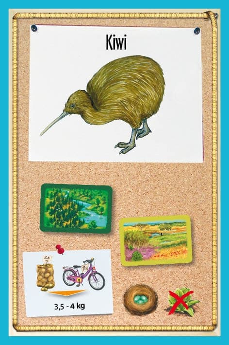Galeria - zdjęcie nr. 8 - Fauna JUNIOR - gra planszowa