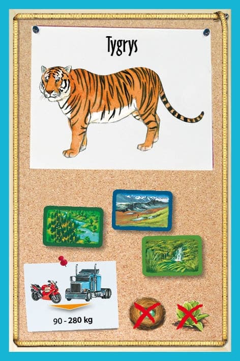 Galeria - zdjęcie nr. 9 - Fauna JUNIOR - gra planszowa