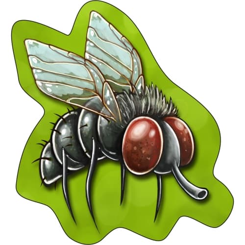 Galeria - zdjęcie nr. 1 - Bzzz… PLASK! - gra planszowa 