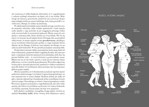 Galeria - zdjęcie nr. 3 - Ciało. Arcydzieło siedmiu milionów lat ewolucji