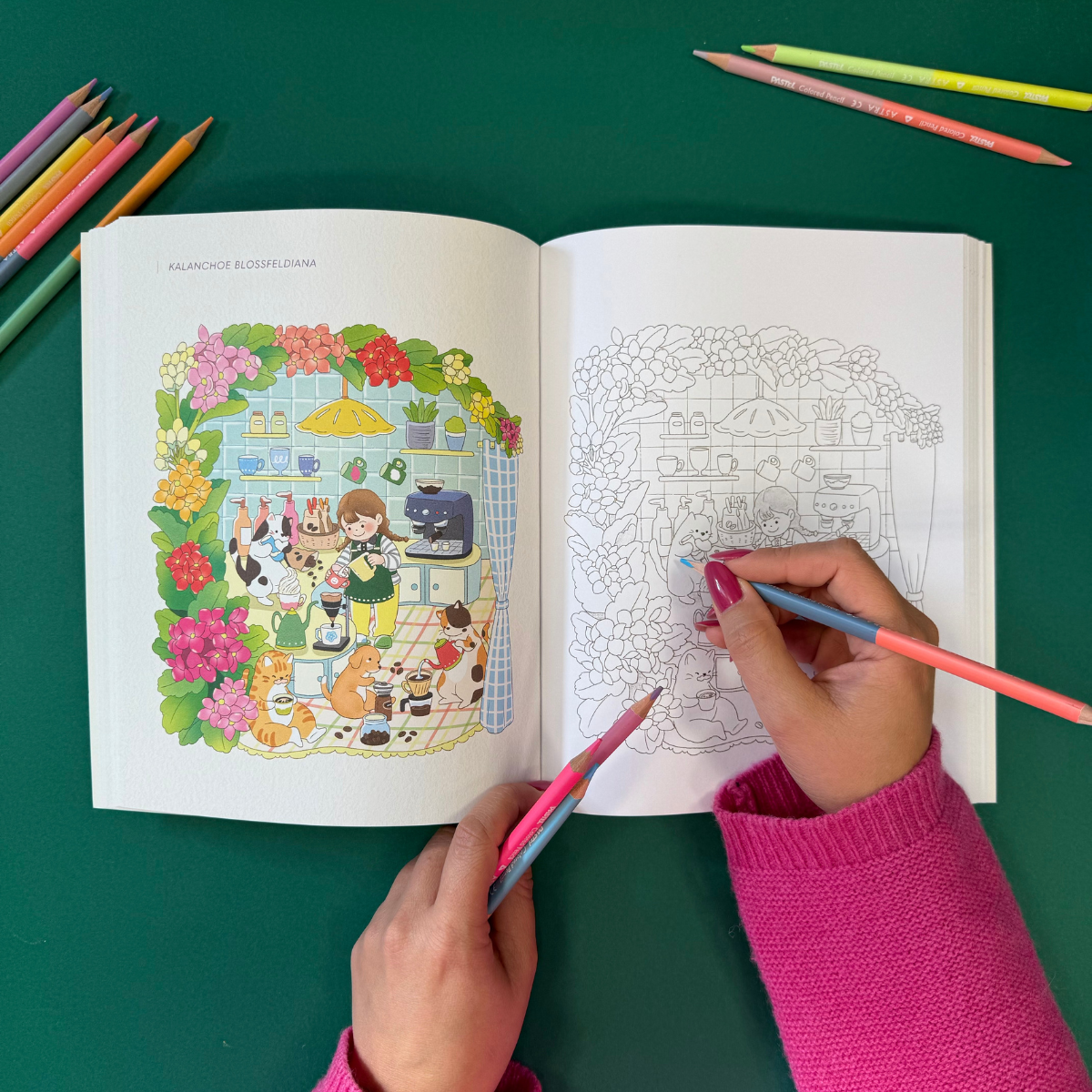 Galeria - zdjęcie nr. 3 - Przygoda zimową porą. Kolorowanka z serii Kwiaty Korei