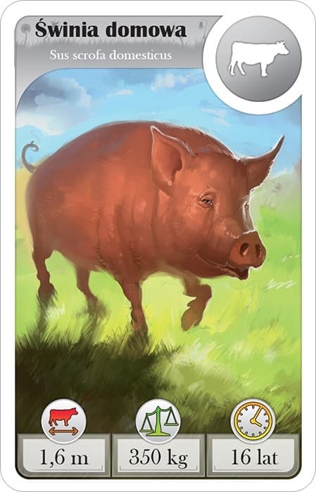 Galeria - zdjęcie nr. 4 - Cardline: Zwierzęta - gra karciana