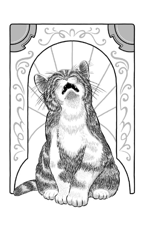 Galeria - zdjęcie nr. 2 - Vita Felix. Kocia droga do szczęścia