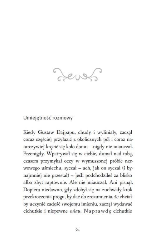 Galeria - zdjęcie nr. 3 - Vita Felix. Kocia droga do szczęścia