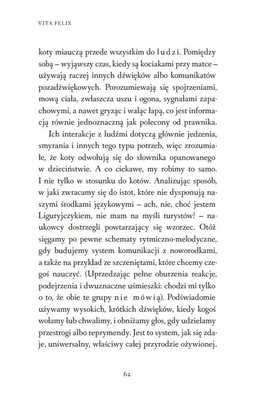 Galeria - zdjęcie nr. 4 - Vita Felix. Kocia droga do szczęścia