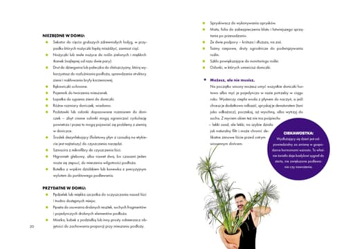 Galeria - zdjęcie nr. 1 - Roślinne historie - planer