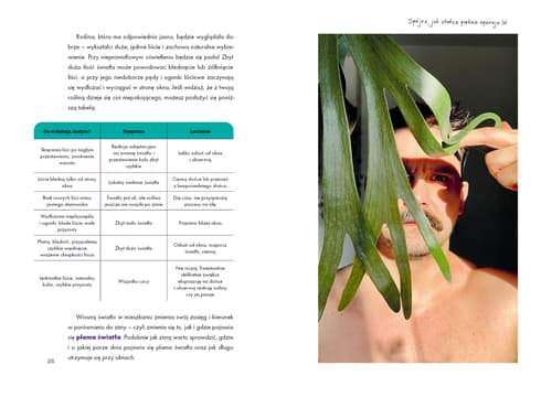 Galeria - zdjęcie nr. 2 - Roślinne historie - planer