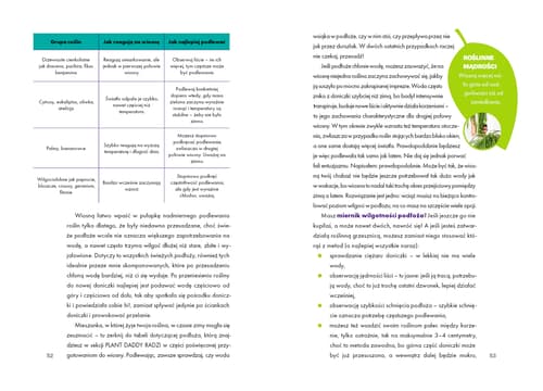 Galeria - zdjęcie nr. 5 - Roślinne historie - planer