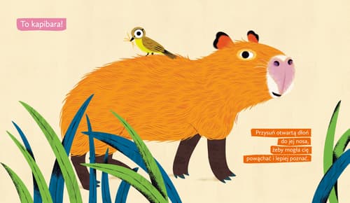 Galeria - zdjęcie nr. 1 - Moja kapibara. Aktywizująca książka dla dzieci