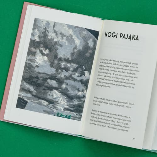 Galeria - zdjęcie nr. 2 - Nie mówi się takich rzeczy