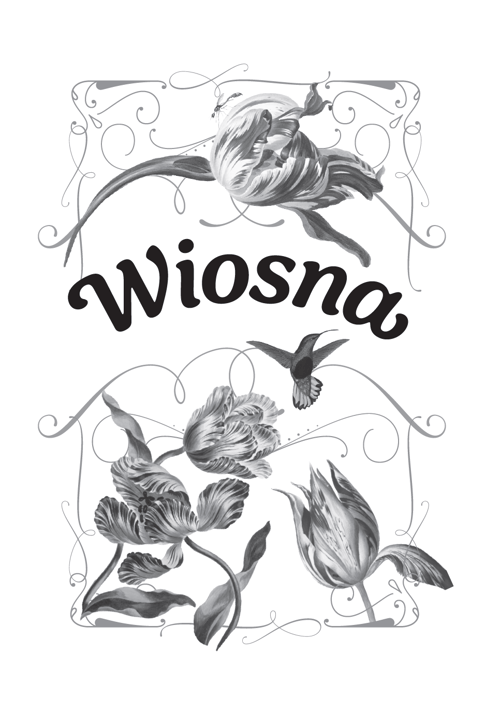 Galeria - zdjęcie nr. 4 - Cztery pory roku z Ewą Woydyłło. Przewodnik po codzienności