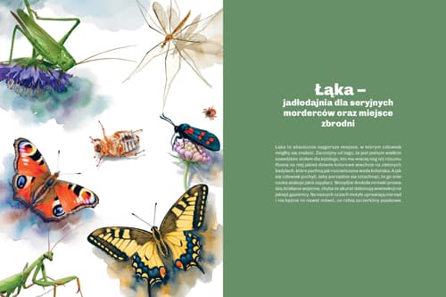 Galeria - zdjęcie nr. 1 - Głupie robaki i inne takie Polski