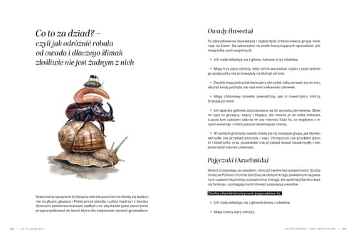 Galeria - zdjęcie nr. 6 - Głupie robaki i inne takie Polski