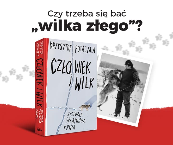 Człowiek i wilk. Historia splamiona krwią - Krzysztof Potaczała