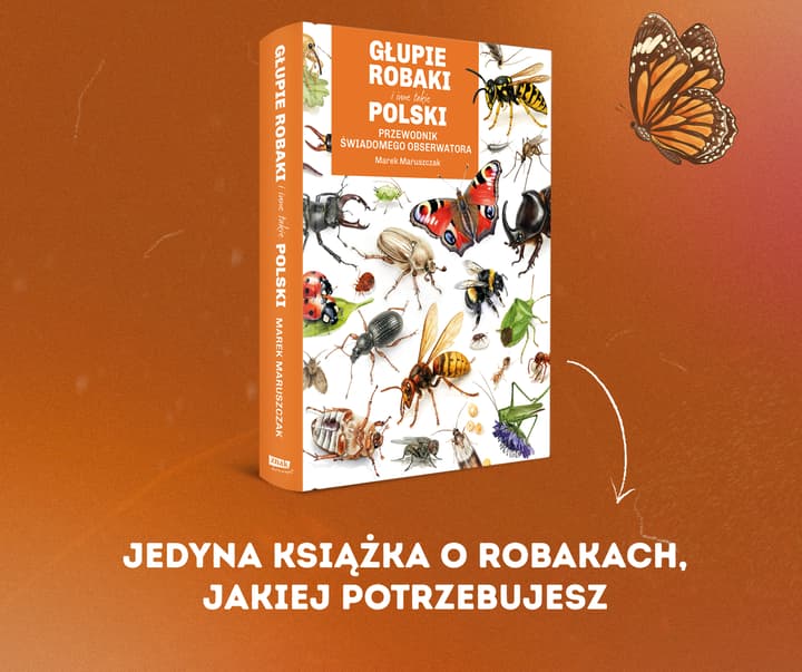 Głupie robaki i inne takie Polski - Marek Maruszczak