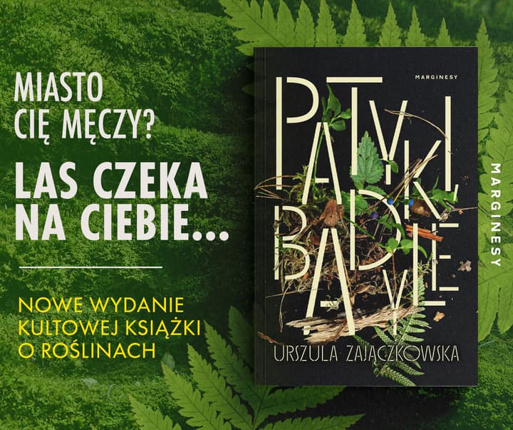 Patyki, badyle - Urszula Zajączkowska