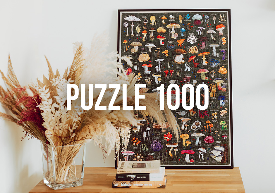 PUZZLE 1000 elementów